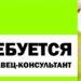 Продавец консультант