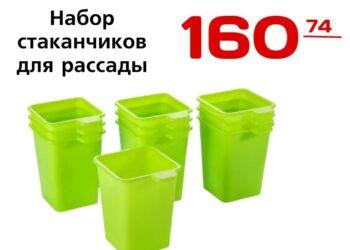 Набор стаканчиков для рассады