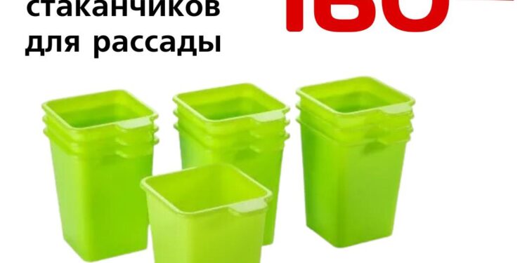 Набор стаканчиков для рассады