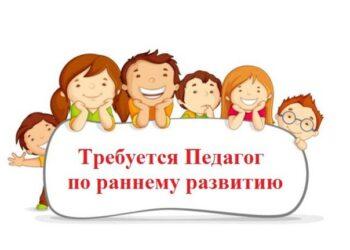 Педагог раннего развития