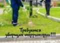 Уборщик территории