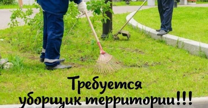 Уборщик территории