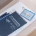 Компании Подмосковья прошли программу одиннадцатого «Экспортного форсажа»